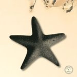 black granite starfish decoration jesmonite