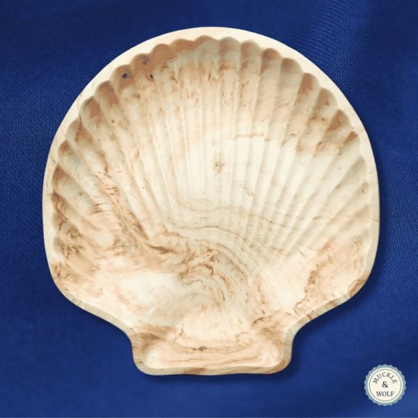 brown white marbled effect shell shape jesmonite