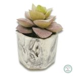 mini jesmonite plant pot