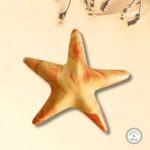jesmonite red orange yellow starfish decoration