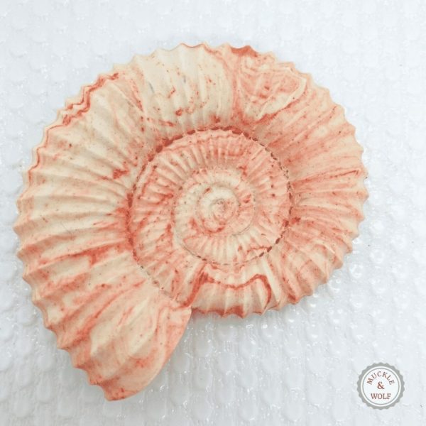 fossil ammonite pink marbled decoration