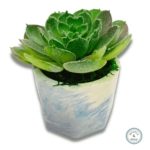 jesmonite mini pot blue white marbled faux succulent plant
